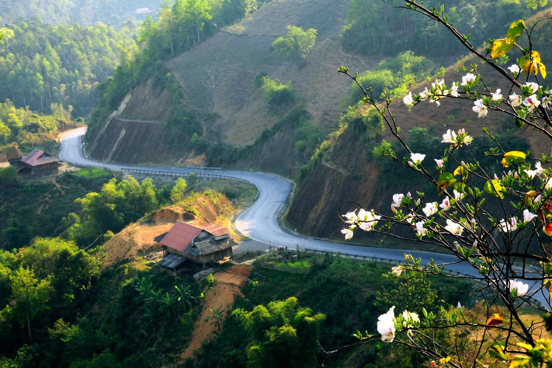 Chương Trình Tour Về Miền Ký Ức - Những Nẻo Đường Tây Bắc