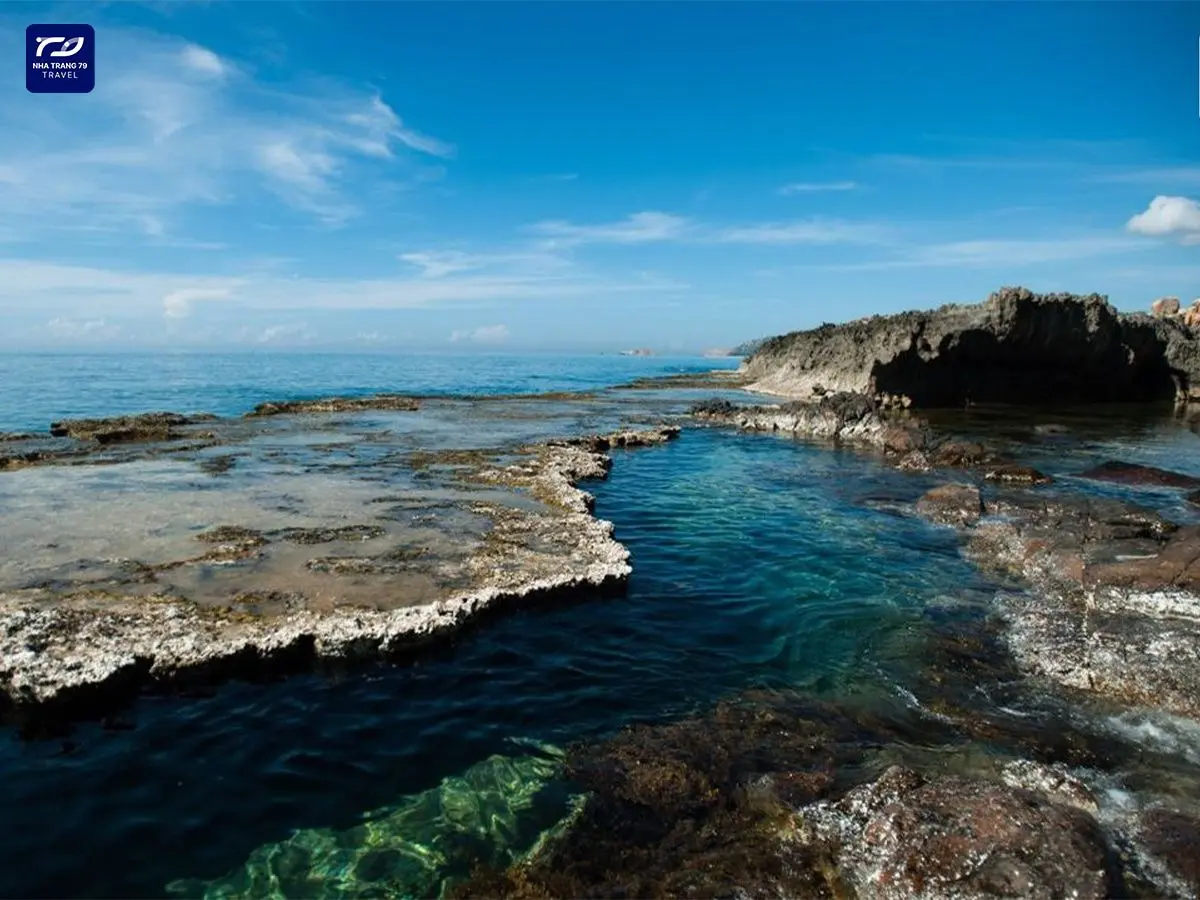 Tour Nha Trang - Ninh Thuận 4N3Đ: Khám Phá Hang Rái, Vịnh Vĩnh Hy Và Check-in Vườn Nho
